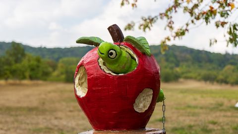 Eine Raupe schaut aus einem Apfel - Skulptur auf dem Streuobsterlebnispfad
